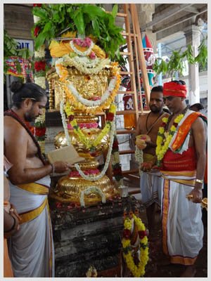 Palani Festivals